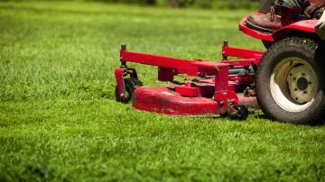 Horticultural Services